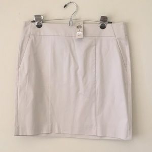 Ann Taylor Madison Skirt